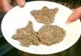 Healthy Raw And Vegan Sugar Cookies 