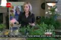 The Herb Queen"- Christianne Klein On Good Day Sacramento