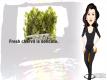 Hints and Tips for Selecting and Storing Chervil