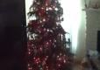 Christmas Decorations Video
