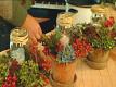 Holiday Table Dressing
