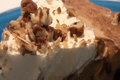 Homemade Billy Miner Pie