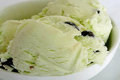 How To Make Homemade Choc Mint Ice Cream