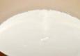 Homemade Greek Yogurt