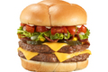 Homemade Hamburgers