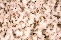 How To Make Easy Homemade Popcorn