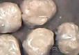 How To Make Homemade Savory Shortcrust Pastry