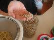 Homemade Sprouts - Part 2
