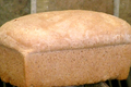 Homemade Whole Wheat Bread 