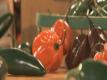 How To Prepare Hot Peppers