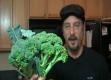 About How to Dry Herbs at Home 