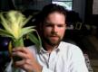 How Safe Is Corn To Eat?