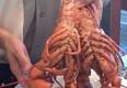 How To Make Live Lobster