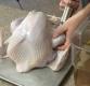 How To Brine A Turkey