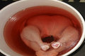 How To Brine A Whole Chicken