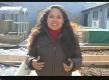 How To Make A Raised Bed House