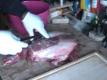 How To Butcher Your Deer's Hind Leg