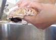 Tips to Clean a Portobello Mushroom