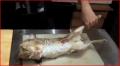 How to Clean a Rabbit?
