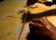 Tips To Clean A Squid