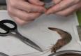 How To Clean Whole Shrimp