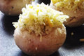 How To Make Bacon And Cheddar Stuffed Mushrooms