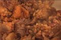 How to Cook the Best Cholent