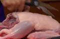 How To Cut A Raw Duck