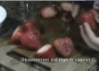 Tips to Cut Strawberries Perfectly