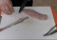 How to Cut Whole Fish