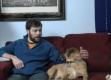 How To Exercise-when You Are Sick Puggles