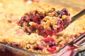 Black Walnut Fruit Crisp