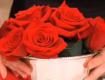 How To Make A Rose Centerpiece Floral Arrangement