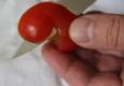Shape The Tomato Like A Rose