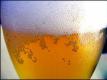 How to Make Beer - India Black Ale (Part 2)