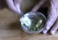 How To Make Garlic Butter