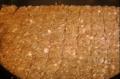 Tasty Multi Nuts Chikki