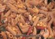 Whole Wheat Penne Pasta with Chicken, Sun dried Tomatoes and Basil