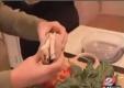 How To Make Sure Your Kids Eat A Healthy Lunch