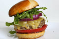 Perfect Burger And Super-fast Buns Recipe Video
