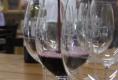Tour Of Making Wine