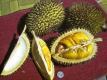 How To Peel A Durian