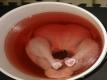 How To Prepare A Brined Turkey For Roasting