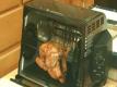 How To Roast A Chicken On The Showtime Rotisserie