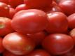 How To Seed Tomatoes