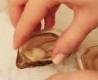 How to Shuck an Oyster