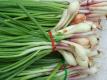 How To Slice Green Onions