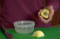 How To Store Avocado
