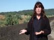 How We Make And Apply Compost (the Journey Blog 7.26.10)