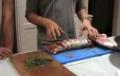 Cooking At Hugh's Farm
